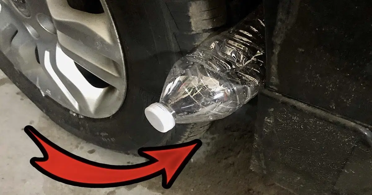 If You Spot a Plastic Bottle on Your Car Tire, Here’s What It Could Really Mean