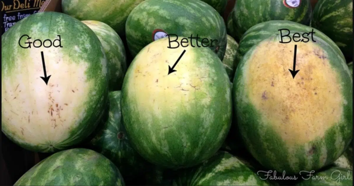 How to Pick the Best Fruits at the Grocery Store – Tips That Actually Work